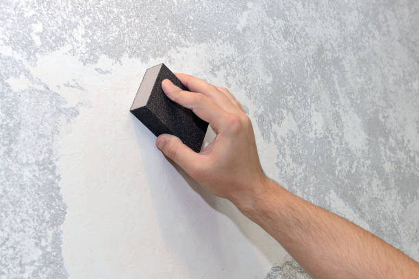Mold Odor Removal Services in Legend Lake, WI