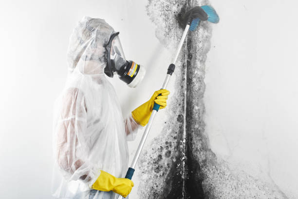 Best HVAC Mold Inspection and Cleaning  in Legend Lake, WI