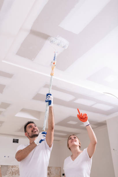 Best Water Damage & Mold Remediation  in Legend Lake, WI