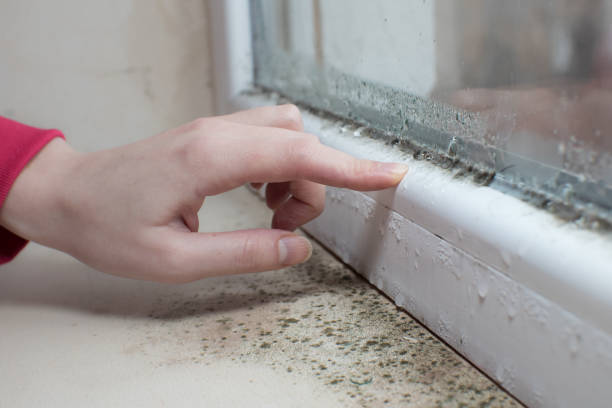 Best Air Quality Testing for Mold Spores  in Legend Lake, WI
