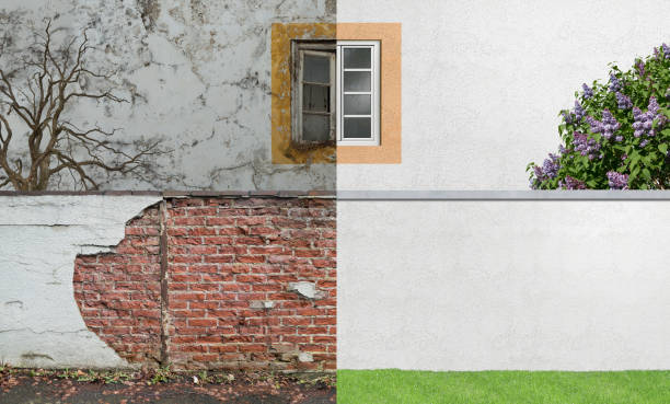 Best Mold Damage Restoration  in Legend Lake, WI